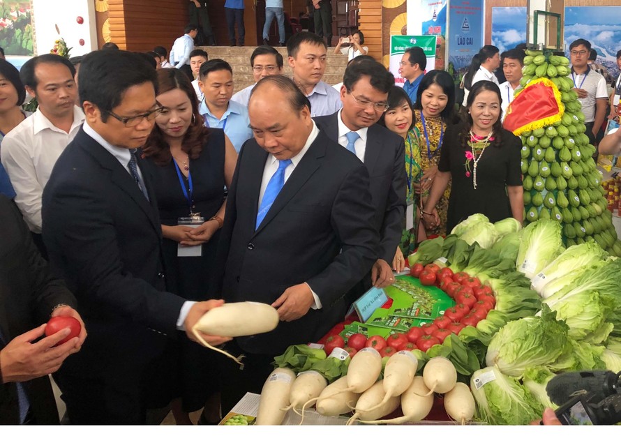 Thủ tướng Chính phủ Nguyễn Xuân Phúc thăm gian hàng nông nghiệp của tỉnh Lào Cai. 