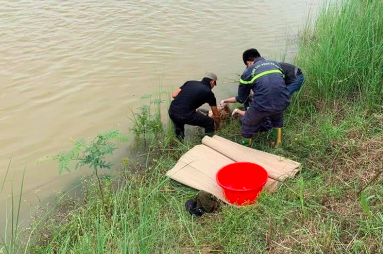 Đã tìm thấy thi thể của 2 trong 3 người mất tích khi tắm ở của sông Ninh Cơ, Nam Định - Ảnh MH