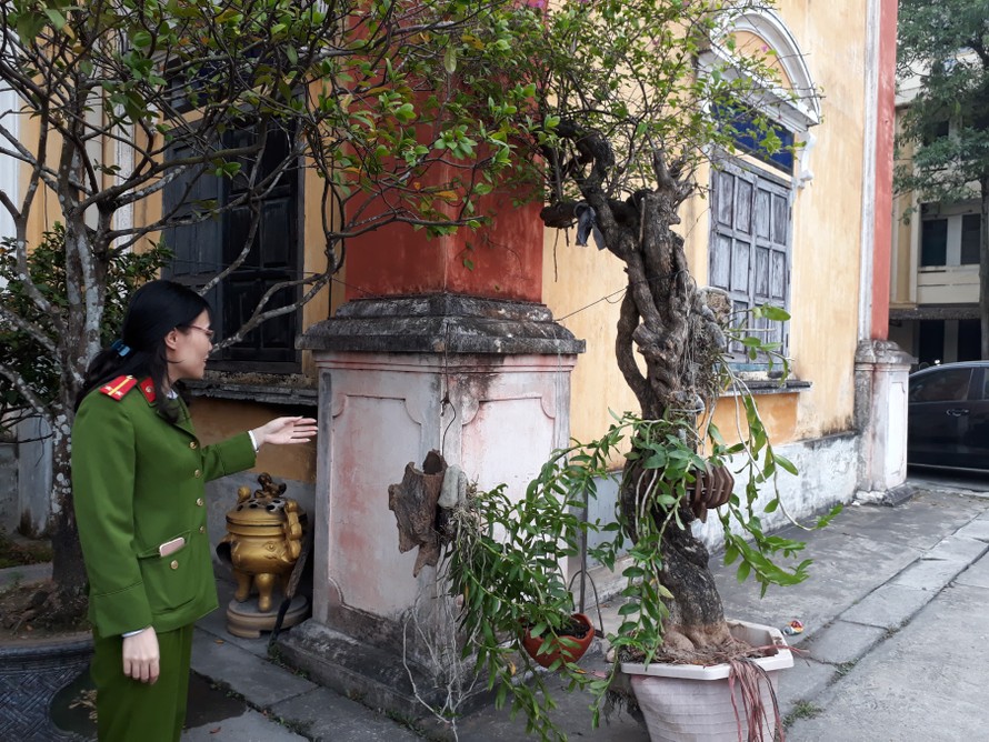 Công an thành phố Thái Bình thu hồi cây cảnh bị trộm - Ảnh: Hoàng Long