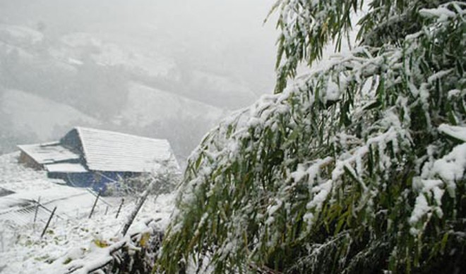 Mưa tuyết xuất hiện ở Sa Pa ngày 15-16/12/2013.