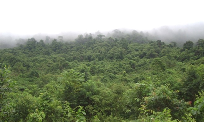 Tây Nguyên đóng cửa rừng tự nhiên, đổi mô hình quản lý