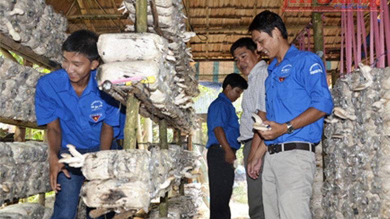 Đoàn viên, thanh niên tham quan mô hình trồng nấm của anh Luận