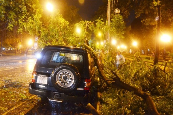 Cành cây lớn bị gió bẻ gãy đè lên ô tô trên đường Trần Nhân Tông (Hà Nội). Ảnh: Thanh Hà