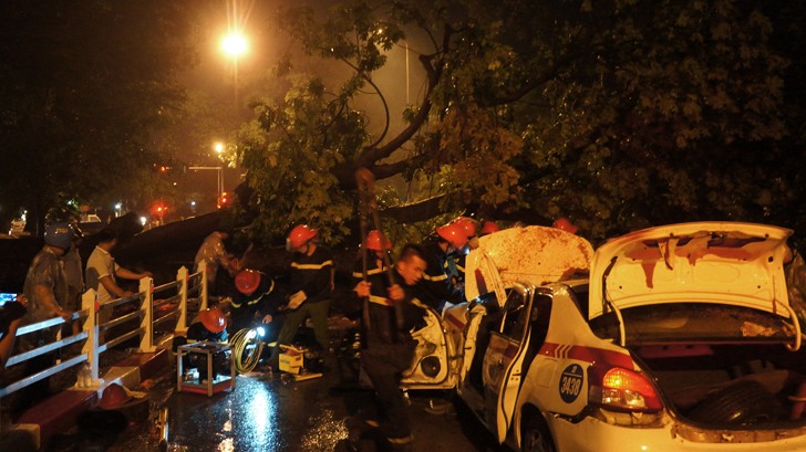 Cây đổ khiến tài xế lái xe taxi bị thiệt mạng vào tối 4/6 trên đường Hùng Vương (đoạn trước vườn hoa Mai Xuân Thưởng) Hà Nội. ảnh: nguyễn khánh