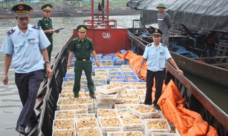 Lực lượng hải quan bắt giữ thực phẩm nhập lậu (Ảnh Hoành Sơn)