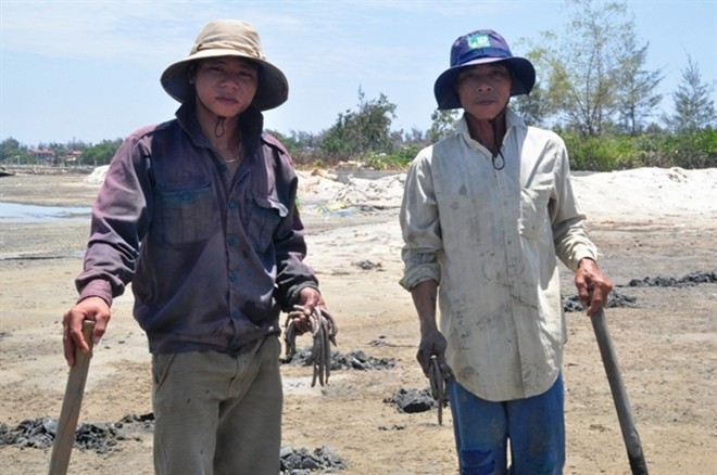 Lợi nhuận cao, khiến nhiều hộ dân ở các tỉnh đổ về Thừa Thiên - Huế khai thác giun biển.