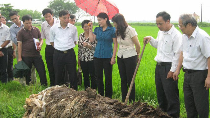 TS Lê Văn Tri (ngoài cùng bên phải) hướng dẫn bà con sản xuất phân bón từ rơm rạ tại ruộng. Ảnh: Nhân vật cung cấp