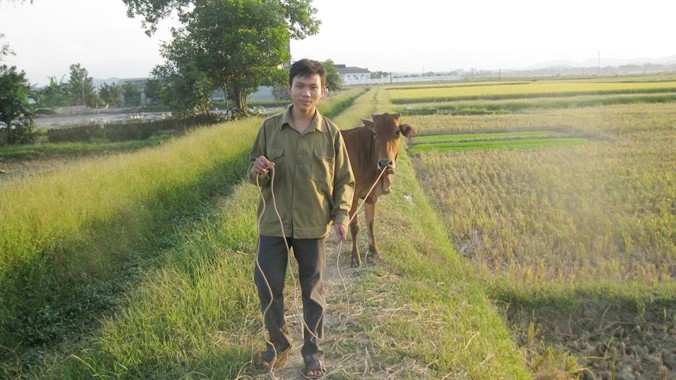 Thủ khoa Trần Văn Cường vẫn hằng ngày chăn trâu giúp mẹ