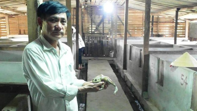Ông Đặng Ngọc Lý tại trang trại nuôi ếch. Ảnh: Quang Lộc