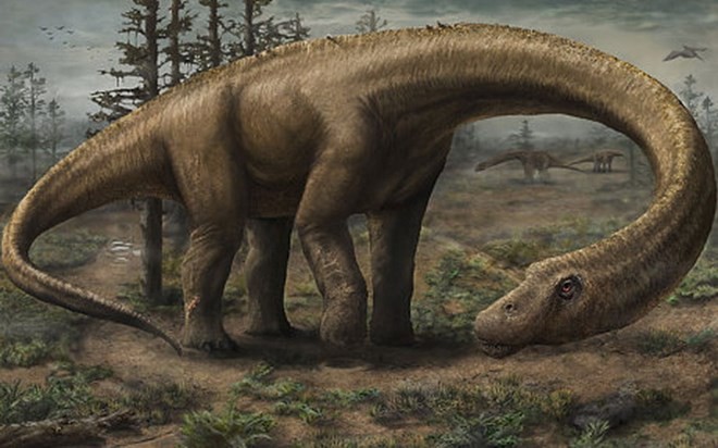 Mô phỏng Dreadnoughtus schrani trên máy tính. Nguồn: Telegraph