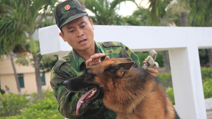 Tình thương yêu là bài tập “giao cảm” để chó nghiệp vụ và các huấn luyện viên hòa hợp nhau