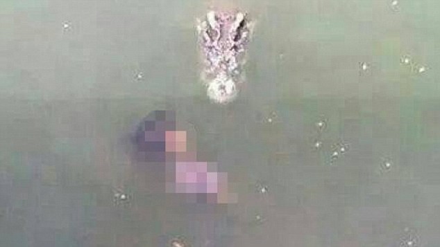 Bức ảnh ghi lại cảnh con cá sấu đang lao vào người phụ nữ. Nguồn: Bangkok Post