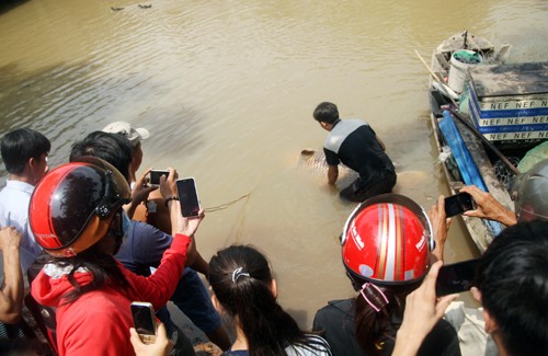 Tận mắt thấy cá hô 130kg vừa bắt trên sông Đồng Nai