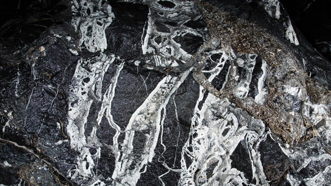 Một dạng hóa thạch bên trong hang Sơn Đoòng. Ảnh: Ryan Deboodt.