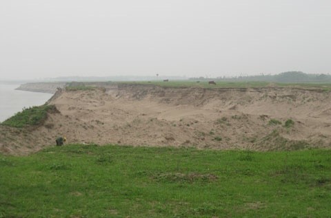 Bãi sông Hồng ở huyện Phúc Thọ tan hoang vì nạn cát tặc.