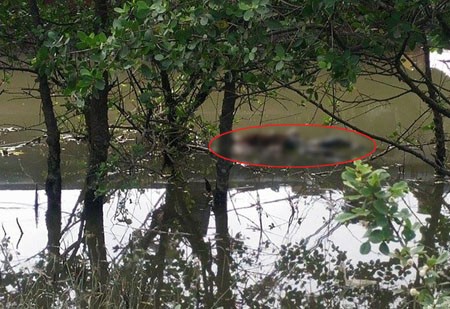 Thi thể người phụ nữ được phát hiện nổi lềnh bềnh trên sông.