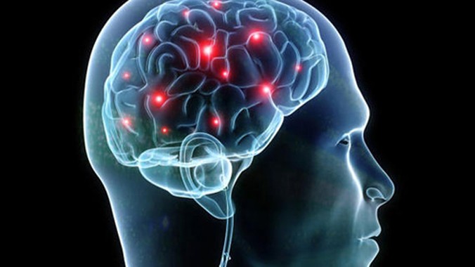 Não bộ là cơ quan phức tạp trong cơ thể người. Ảnh: CBS News.