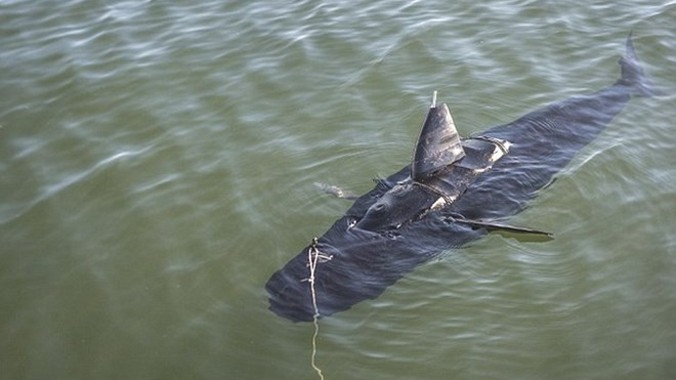 Robot gián điệp hình dáng của một con cá ngừ của Mỹ. Ảnh: U.S. Navy.