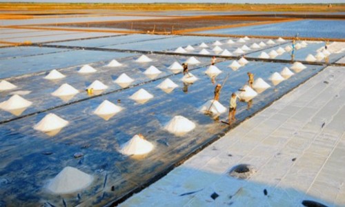 Năm nay Việt Nam sẽ thiếu 300.000 tấn muối. Ảnh: PV.