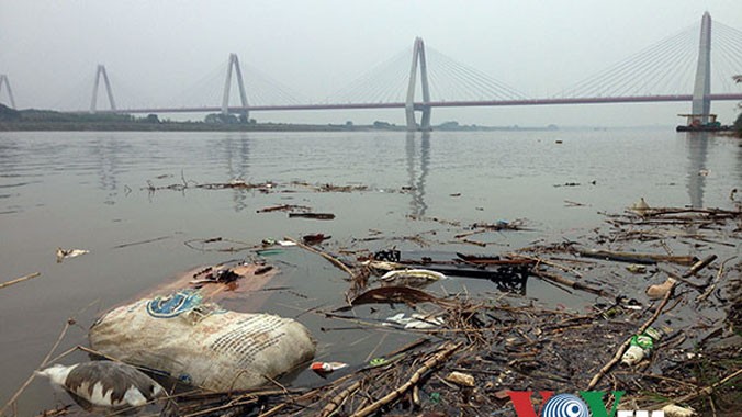 Rác thải, xác động vật chết... bị vứt đầy trên mặt sông. Ảnh chụp tại chân cầu Nhật Tân.