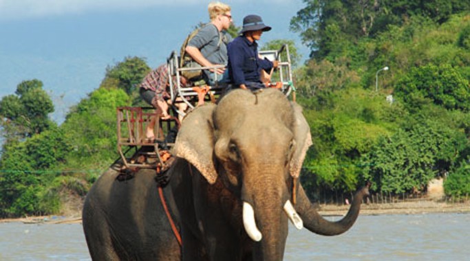 Trong nhiều năm qua, voi nhà trên địa bàn tỉnh Đắk Lắk đang sụt giảm nghiêm trọng do già yếu, bị nạn và khai thác du lịch quá sức.