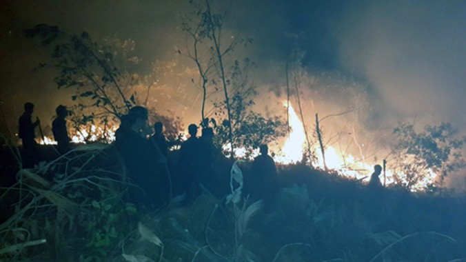 Hiện trường vụ cháy rừng Ảnh: Phạm Phong.