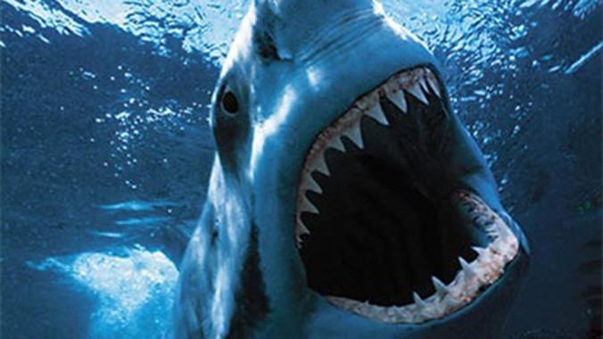 Phát hiện khả năng săn mồi đáng sợ của cá mập