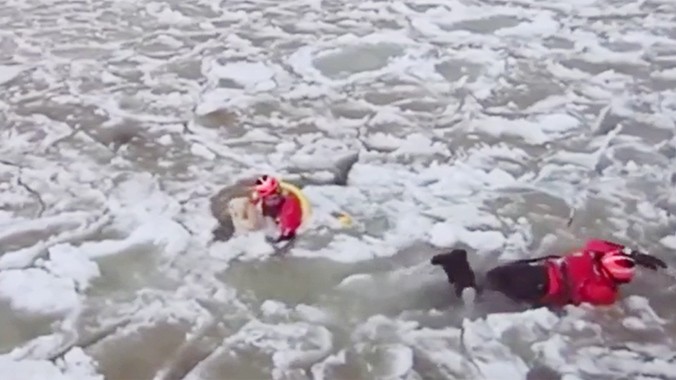 Giải cứu chú chó mắc kẹt run rẩy giữa hồ băng