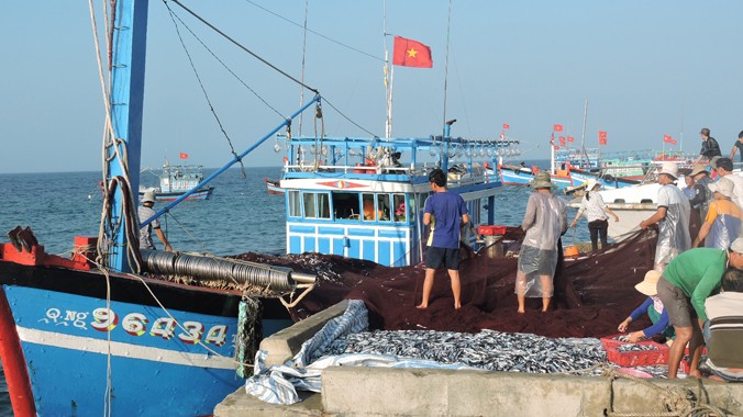 Tàu cá của ngư dân Nguyễn Văn Tri cập đảo sau một đêm bám biển, bám ngư trường ven đảo.