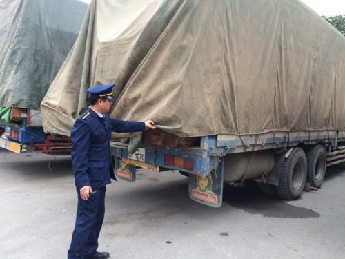11 xe chở gỗ đang được tập kết tại huyện Đô Lương chờ xử lý. Ảnh: Huy Phan/ VnExpress