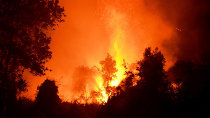 Hiện trường vụ cháy khu rừng tái sinh tại xã Lê Minh Xuân.