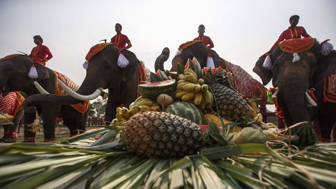 Lễ hội được tổ chức vào ngày 13/03 vừa qua tại Ayutthaya, thành phố cổ có bề dày lịch sử ở Thái Lan.