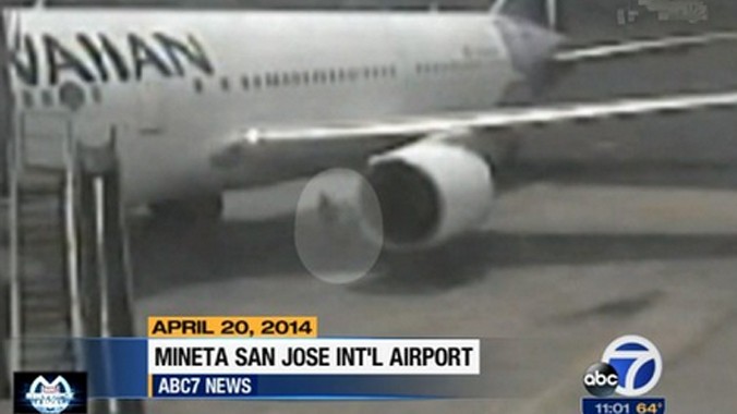 Bà Adriana đang lang thang bên cạnh một chiếc máy bay (vùng khoanh trắng). Ảnh: ABC 7 News.