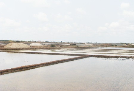 Ruộng muối ở huyện Đông Hải, Bạc Liêu. Ảnh chụp ngày 20/3.