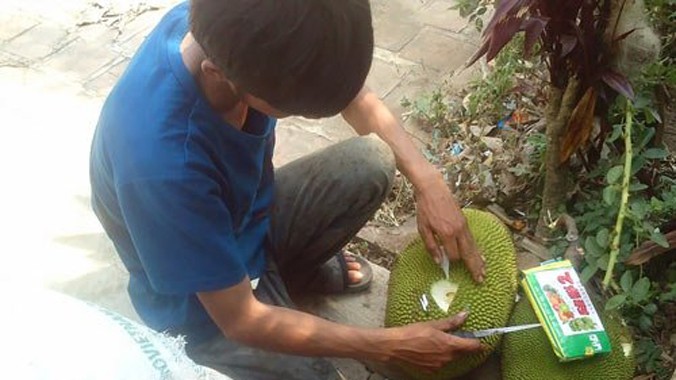 Chủ lò mít tại thị trấn Ea Kar, huyện Ea Kar, Đắk Lắk bơm thuốc ép chín vào trái mít.