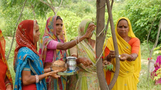 Kì lạ ngôi làng trồng 111 cây xanh khi một bé gái ra đời