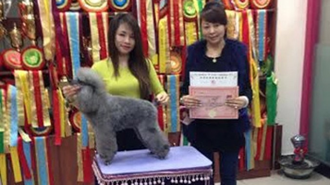 Nguyễn Thùy Linh (trái) tốt nghiệp khóa học chăm sóc làm đẹp chó, mèo tại Trung Quốc.