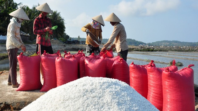 Do lượng muối năm ngoái còn tồn đến hơn 2.000 tấn nên năm nay bà con diêm dân Sa Huỳnh lâm cảnh điêu đứng vì giá giảm mạnh. Ảnh: Trí Tín.