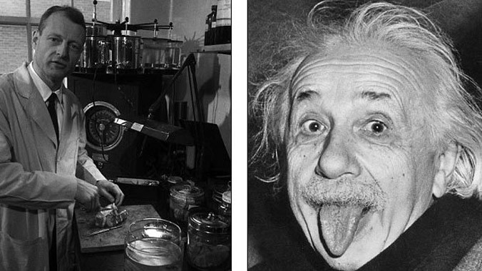 Nhà nghiên cứu bệnh học Thomas Harvey (ảnh trái, chụp năm 1955) được tin là đã trích lấy trái phép bộ não của Einstein, đem thái lát nó và gửi cho các chuyên gia nghiên cứu bệnh học thần kinh nổi tiếng trên thế giới. Ảnh: Getty Images/APIC.