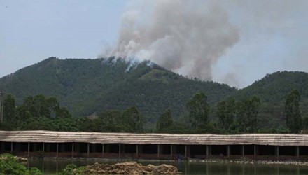 Vụ cháy rừng ở Thanh Hóa: Lửa bùng phát trở lại