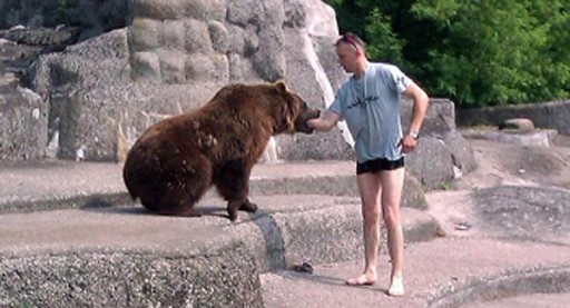 Con gấu cắn tay vị khách lạ khi anh ta tiến đến gần nó. Ảnh: Australscope.