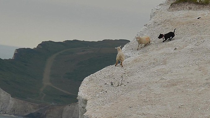 Theo Telegraph, nhiếp ảnh gia Eddie Nolan chụp được cảnh tượng trên cuối tuần trước, ở một vách đá tại công viên quốc gia Seven Sister, hạt Đông Sussex nước Anh.