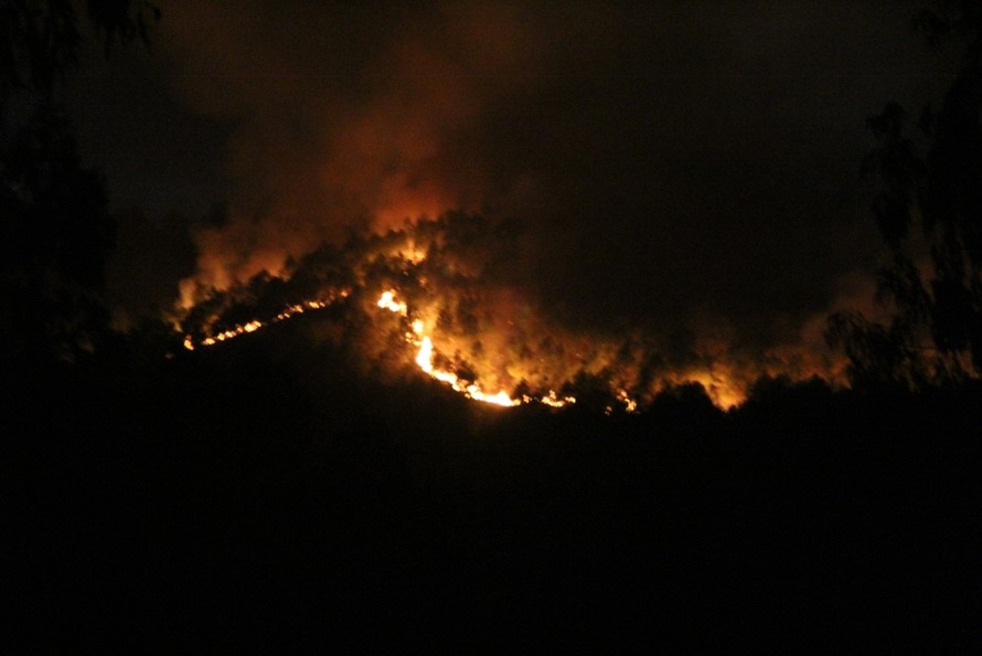 Theo Chủ tịch UBND xã Công Thành - ông Hồ Phi Hòe, ngọn lửa bốc lên ở rừng thông thuộc xóm Tân Long và cháy lan sang xóm Ngọc Sơn vào khoảng 20h30 ngày 1/7.