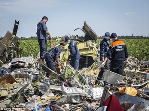 Các nhà điều tra làm việc tại hiện trường máy bay MH17 rơi.