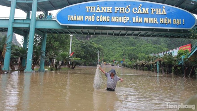 Người dân Cẩm Phả quăng lưới đánh cá trên phố sau mưa lũ