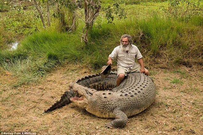 Người đàn ông với biệt danh thổ dân chân trần ở bang Queensland, Australia, có sở thích ngồi trên lưng của những con cá sấu khổng lồ để chơi đùa với chúng.