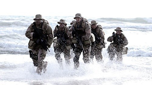 Quân đội Mỹ có rất nhiều đội đặc nhiệm thuộc lực lượng đặc nhiệm tinh nhuệ nhất nước. Theo đó, đặc nhiệm SEAL của Mỹ gồm 8.195 thành viên, bao gồm cả lực lượng tinh nhuệ lẫn nhân viên hỗ trợ.