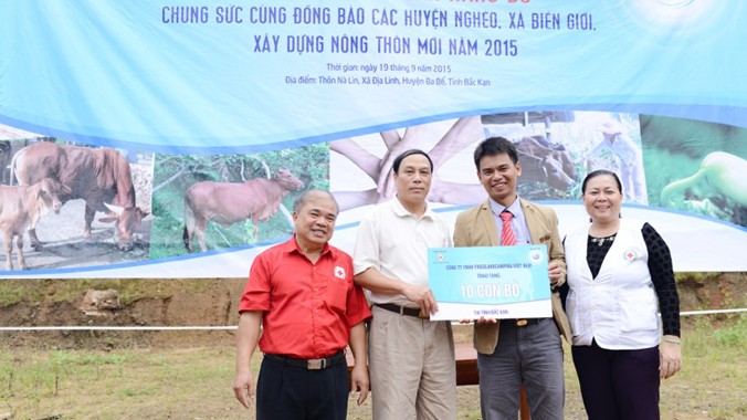 Đại diện FrieslandCampina Việt Nam trao tặng 10 con bò cho Đại diện Hội Chữ Thập Đỏ Bắc Cạn.