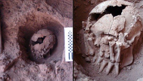 Hộp sọ 9.000 năm tuổi được tìm thấy ở Brazil. Ảnh: PlosOne.