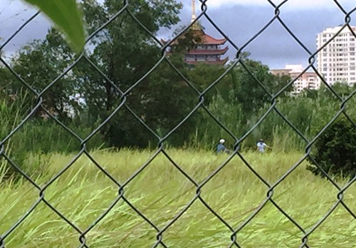 Khu đất dự án cỏ cây rậm rạp trên đại lộ Mai Chí Thọ dù đã được chủ đầu tư lập hàng rào, tuy nhiên nhiều người vẫn tìm lối mòn để vào và tìm "bạn tình" đồng tính.